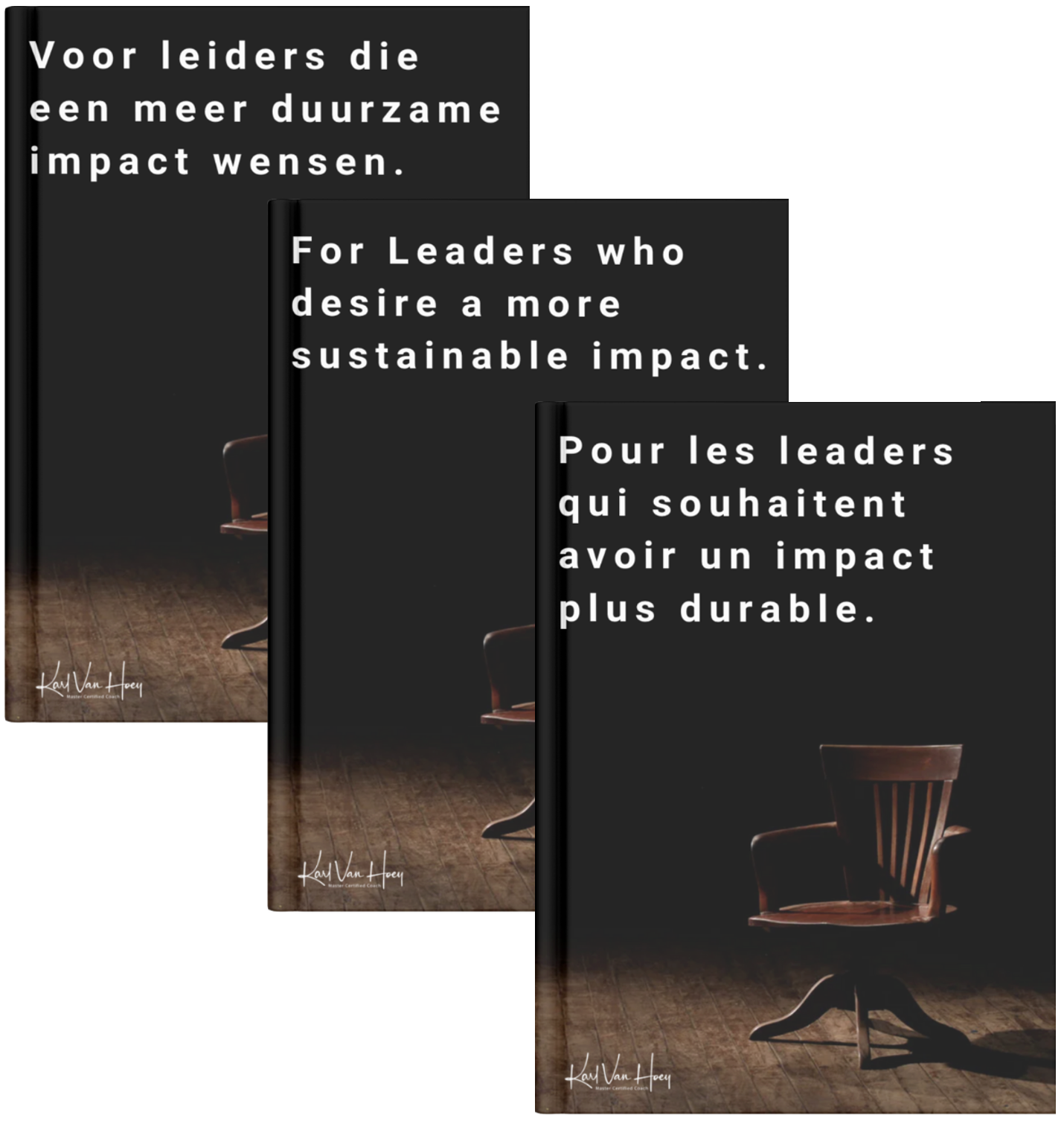 Ebook: For leaders who desire a more sustainable impact
