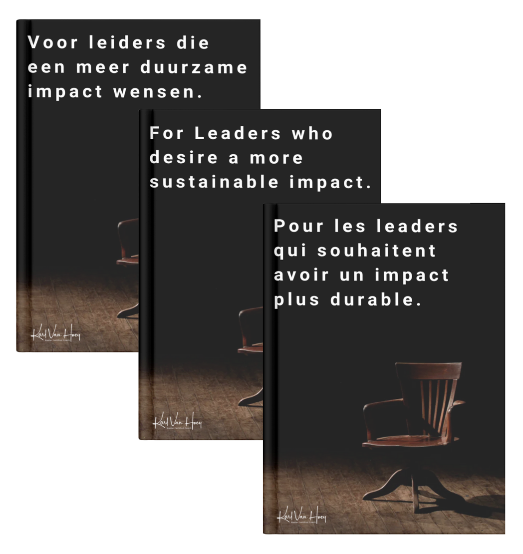 Ebook: For leaders who desire a more sustainable impact