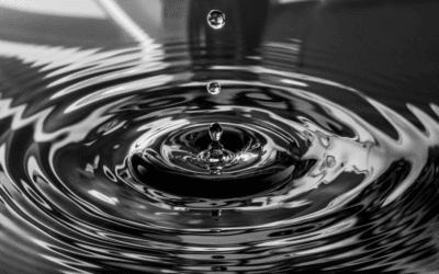 What Is Sustainable Impact, Really?